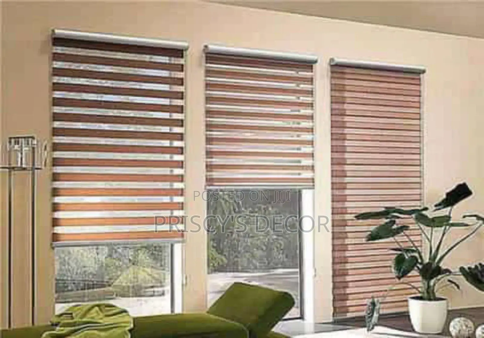 Beautiful Window Blinds