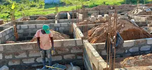 General Design and Constructability