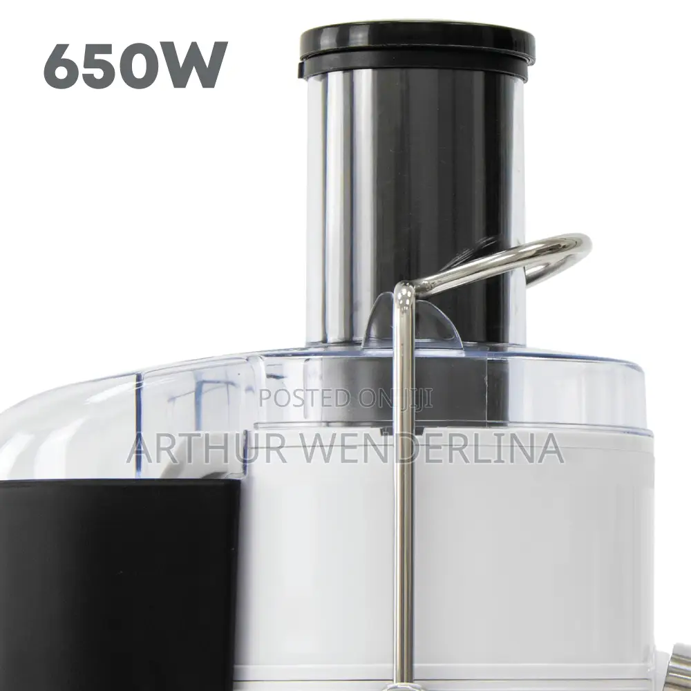 Sq Professional Power Juicer / Juice Extractor