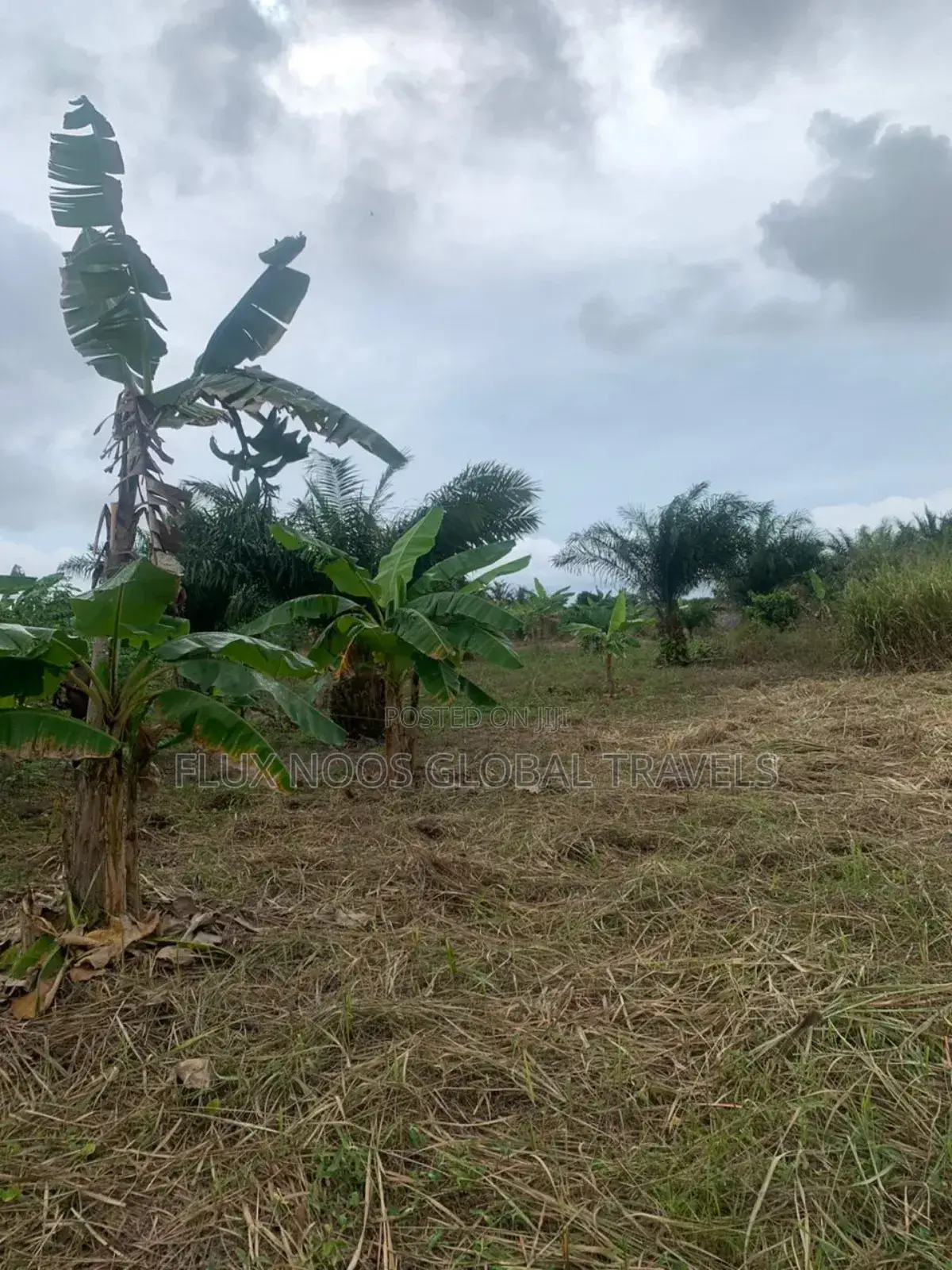 Litigaion Free Lands for Sale. Indenture Available for You.