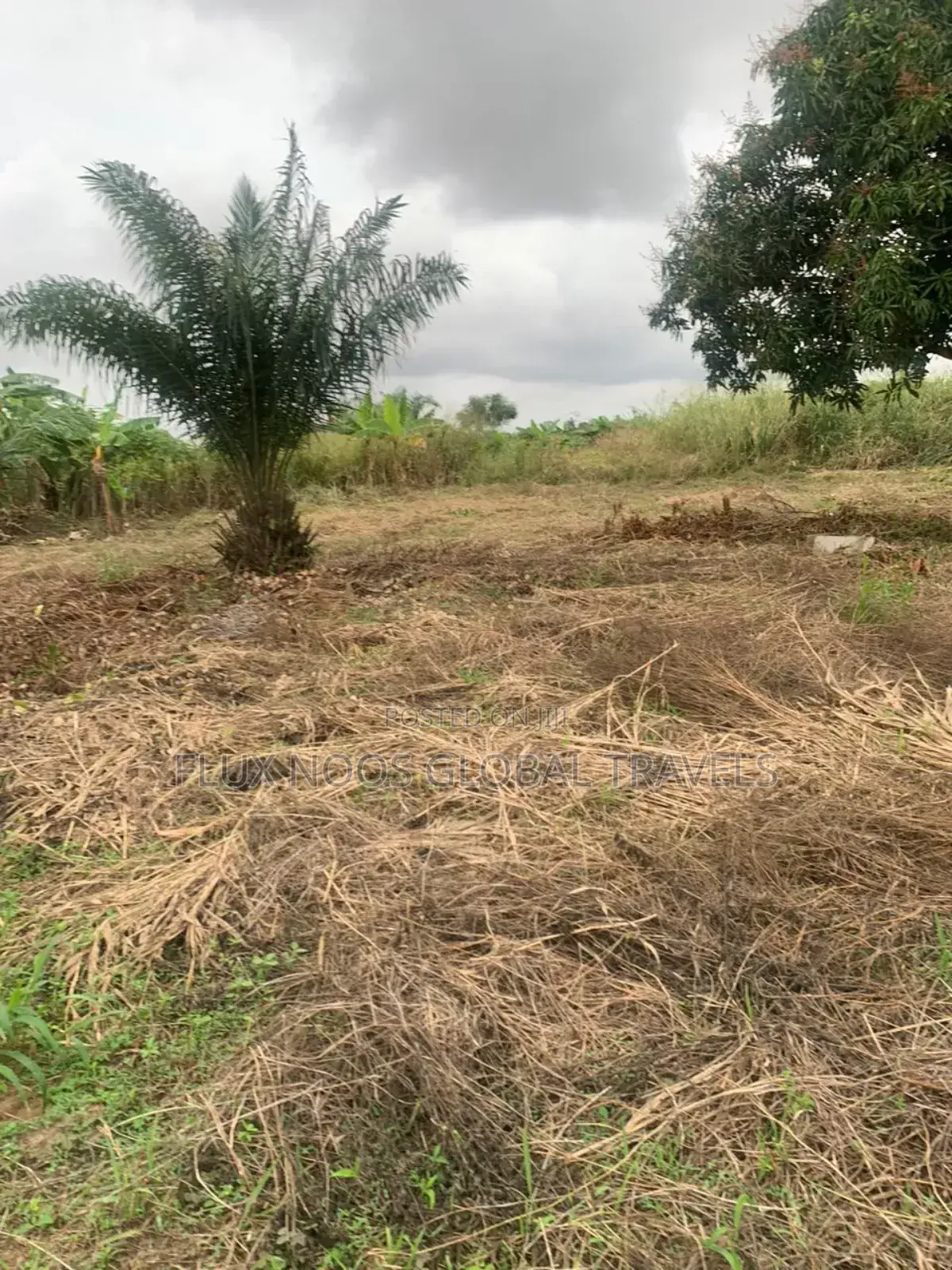 Registered Litigation Free Plots of Land for Sale.