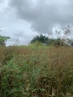 Registered Litigation Free Plots of Land for Sale.