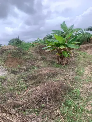 Registered and Walled Plots of Lands for Sale.