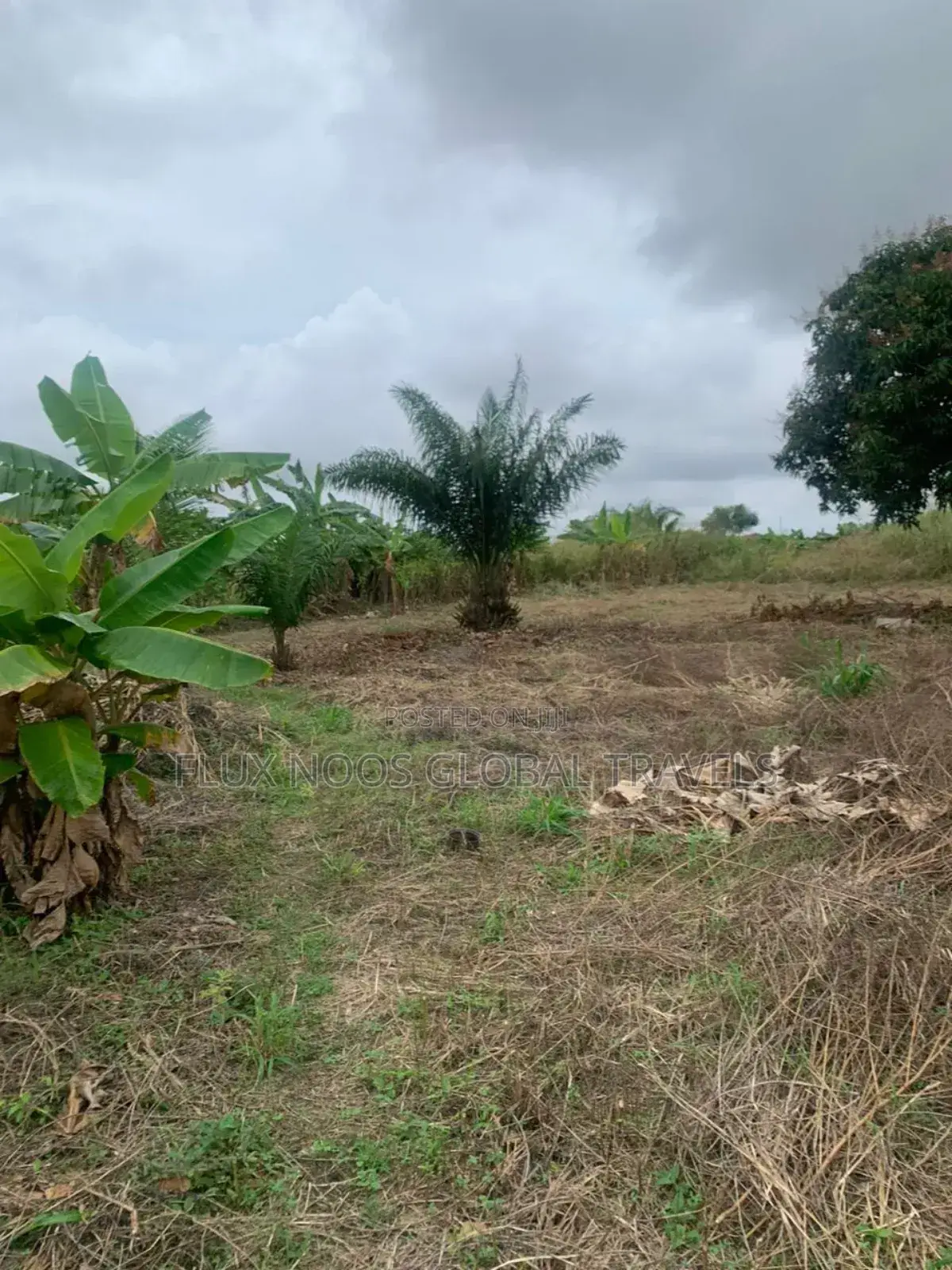 Serviced Lands for Sale at Amasaman Ayikai Doblo.