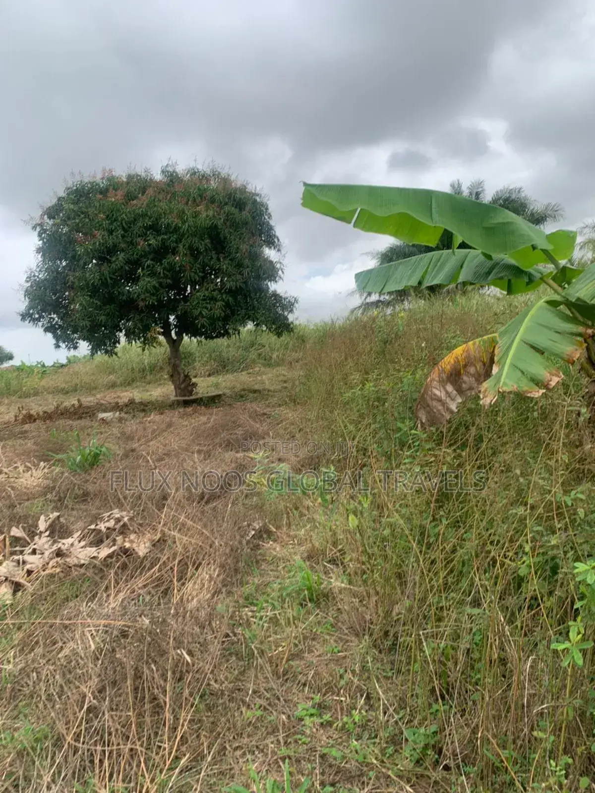 Serviced Lands for Sale at Amasaman Ayikai Doblo.