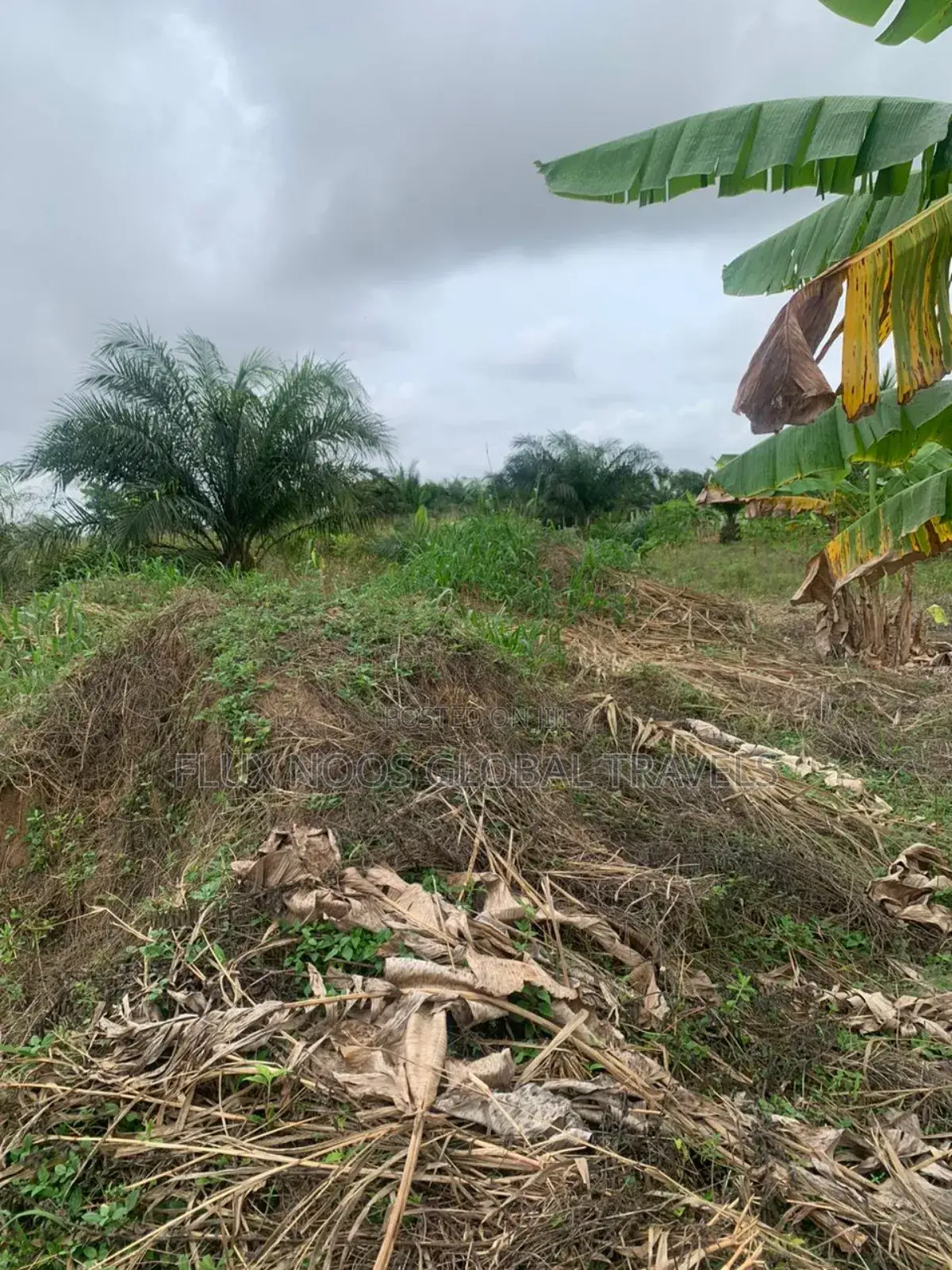 Genuine Lands Available for Sale. No Litigation.