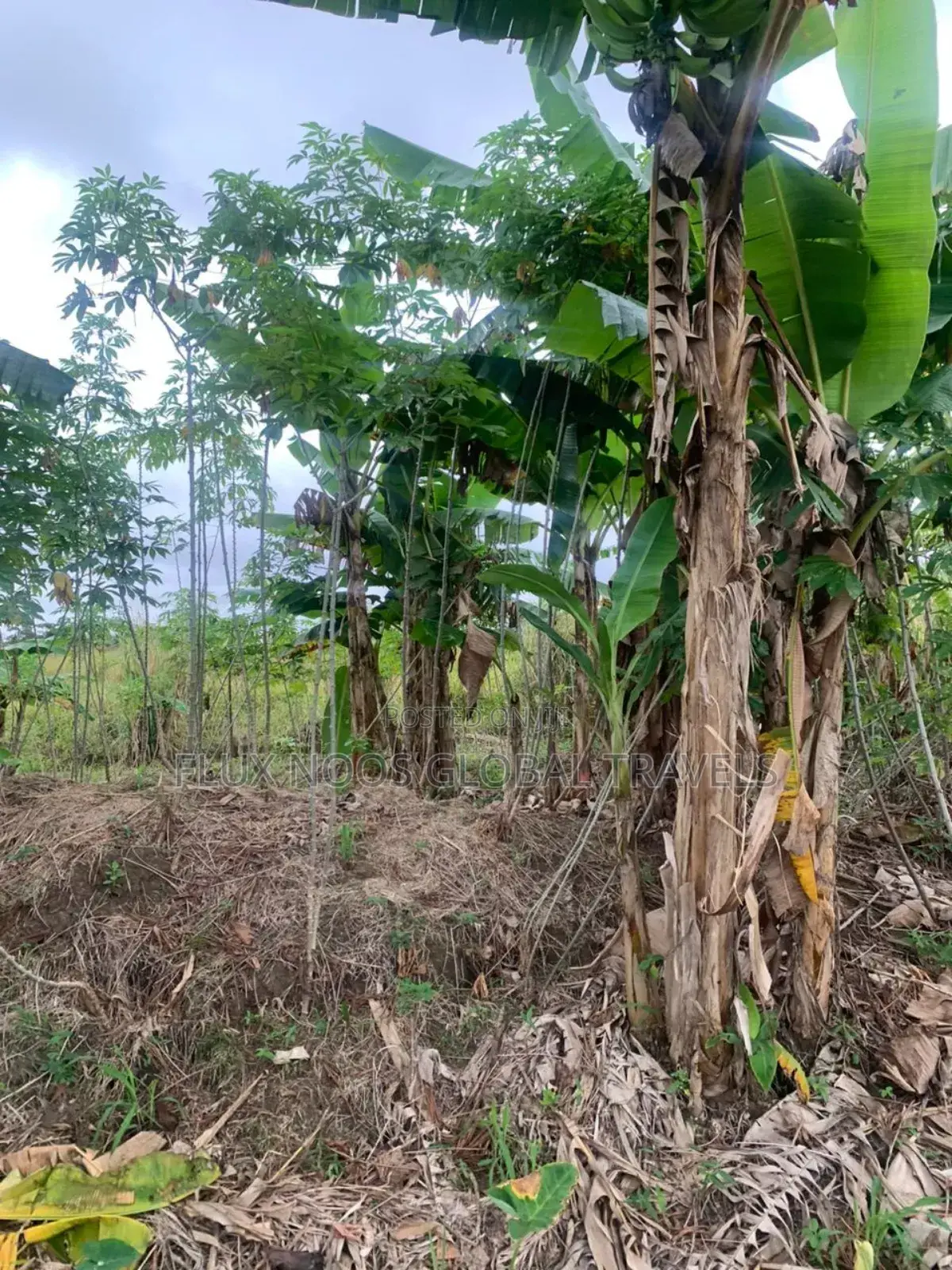 Titled and Fenced Land for Sale at Amasaman Ayikai Doblo