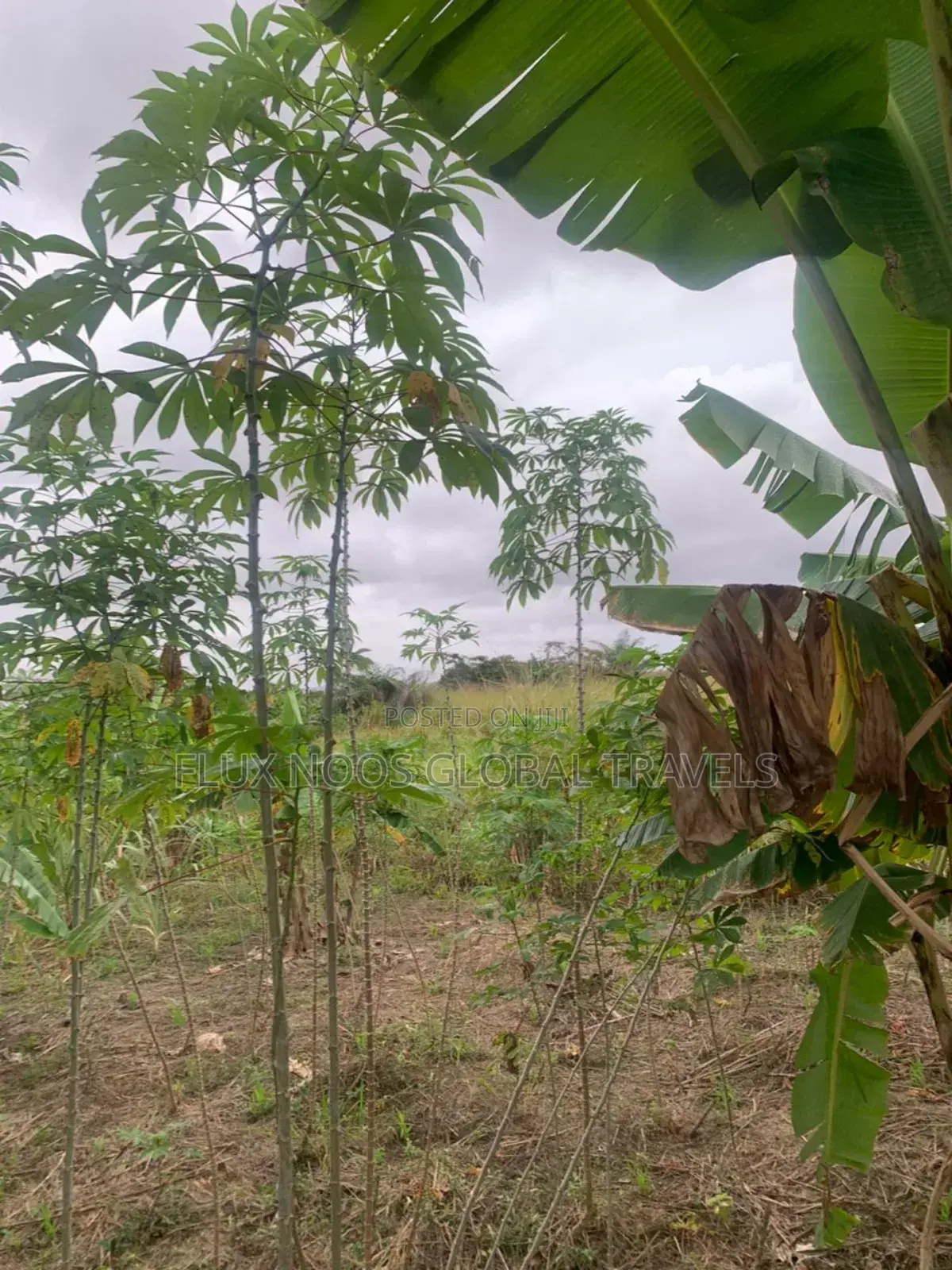 Titled and Fenced Land for Sale at Amasaman Ayikai Doblo