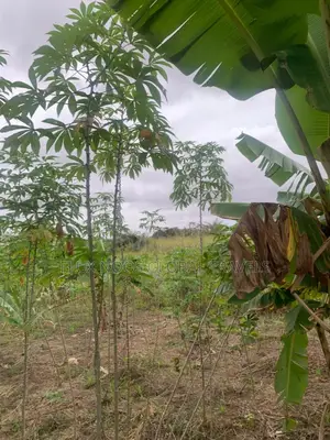 Titled and Fenced Land for Sale at Amasaman Ayikai Doblo