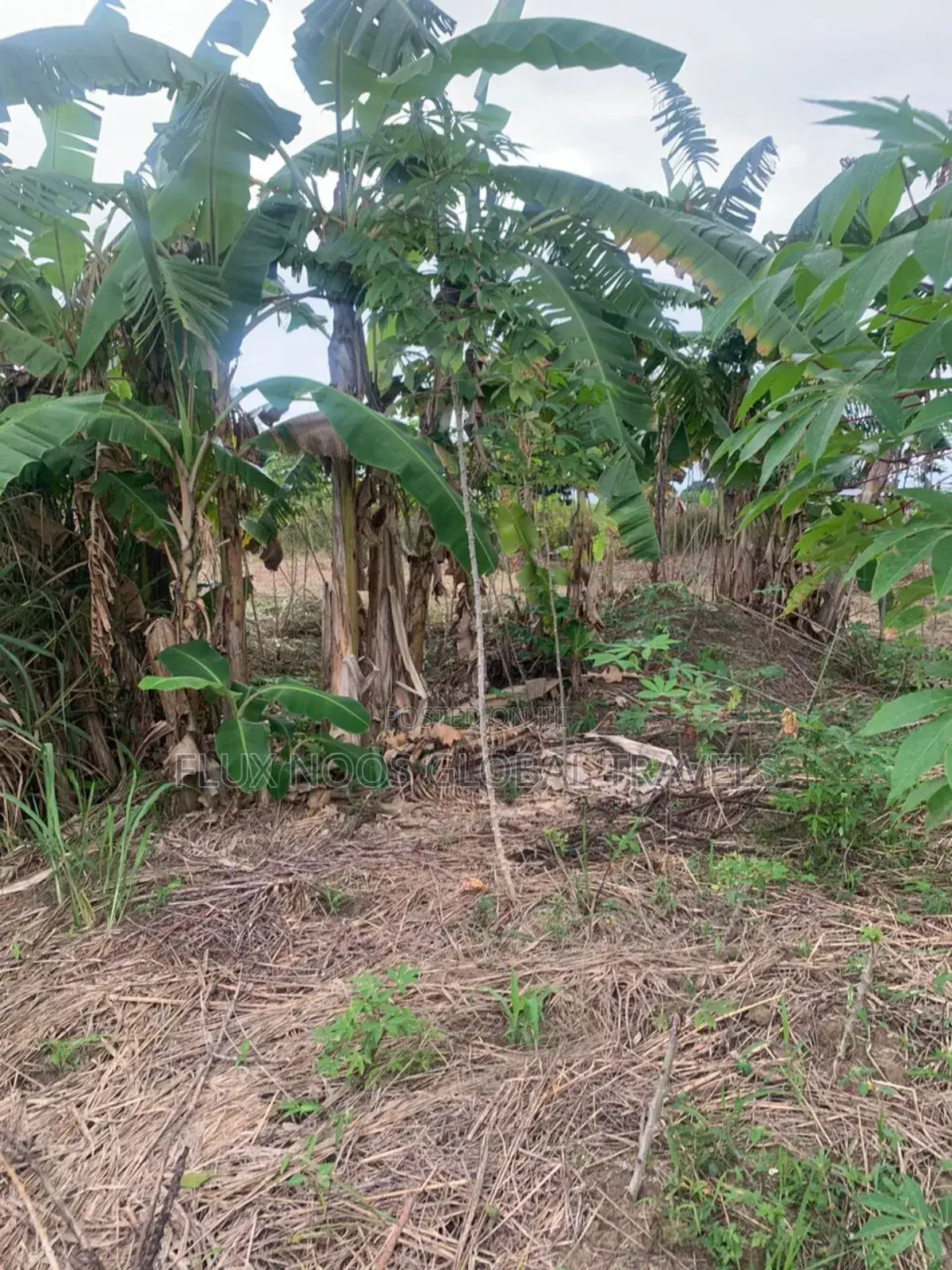 Titled and Fenced Land for Sale at Amasaman Ayikai Doblo