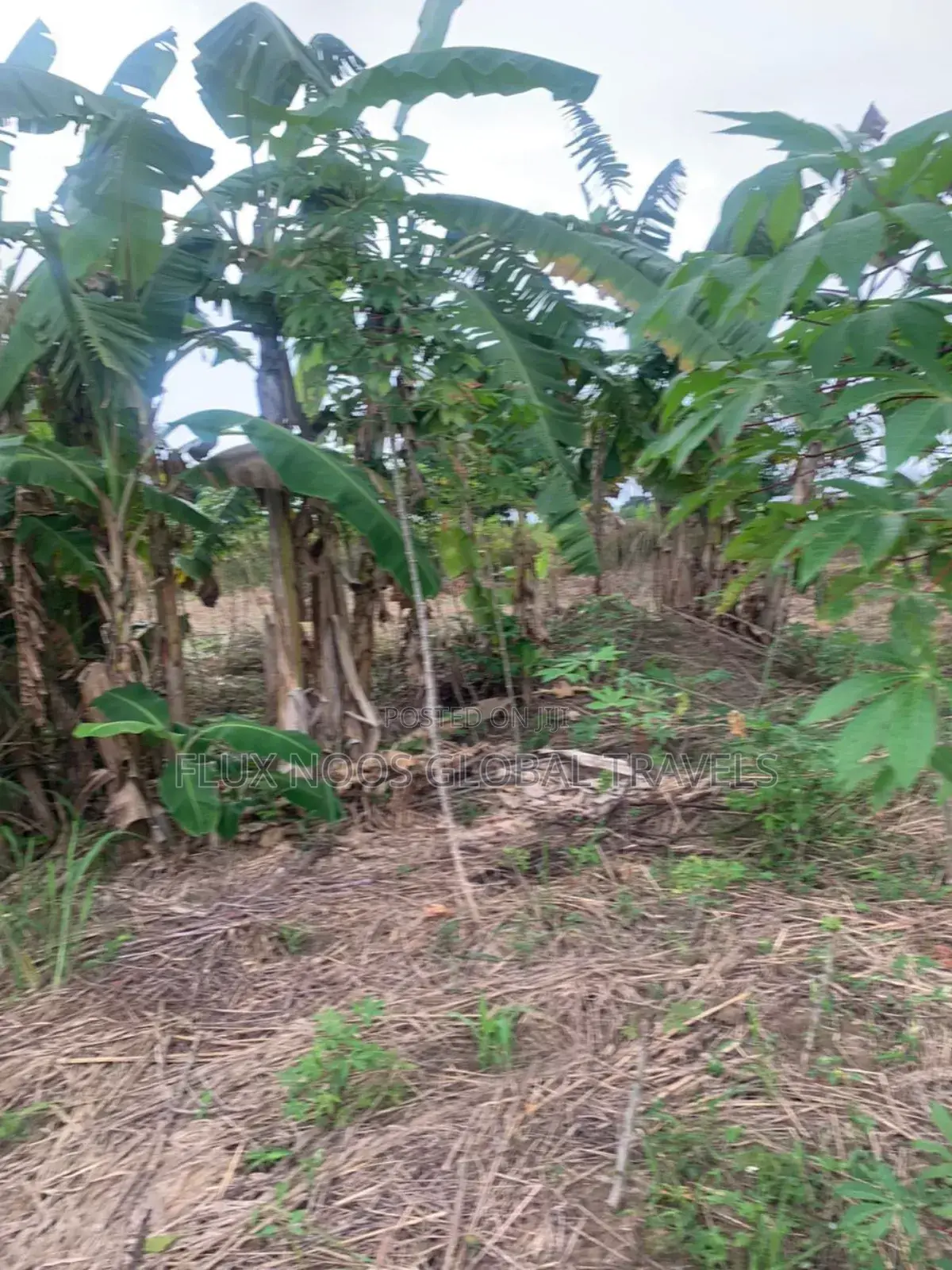 Titled and Fenced Land for Sale at Amasaman Ayikai Doblo