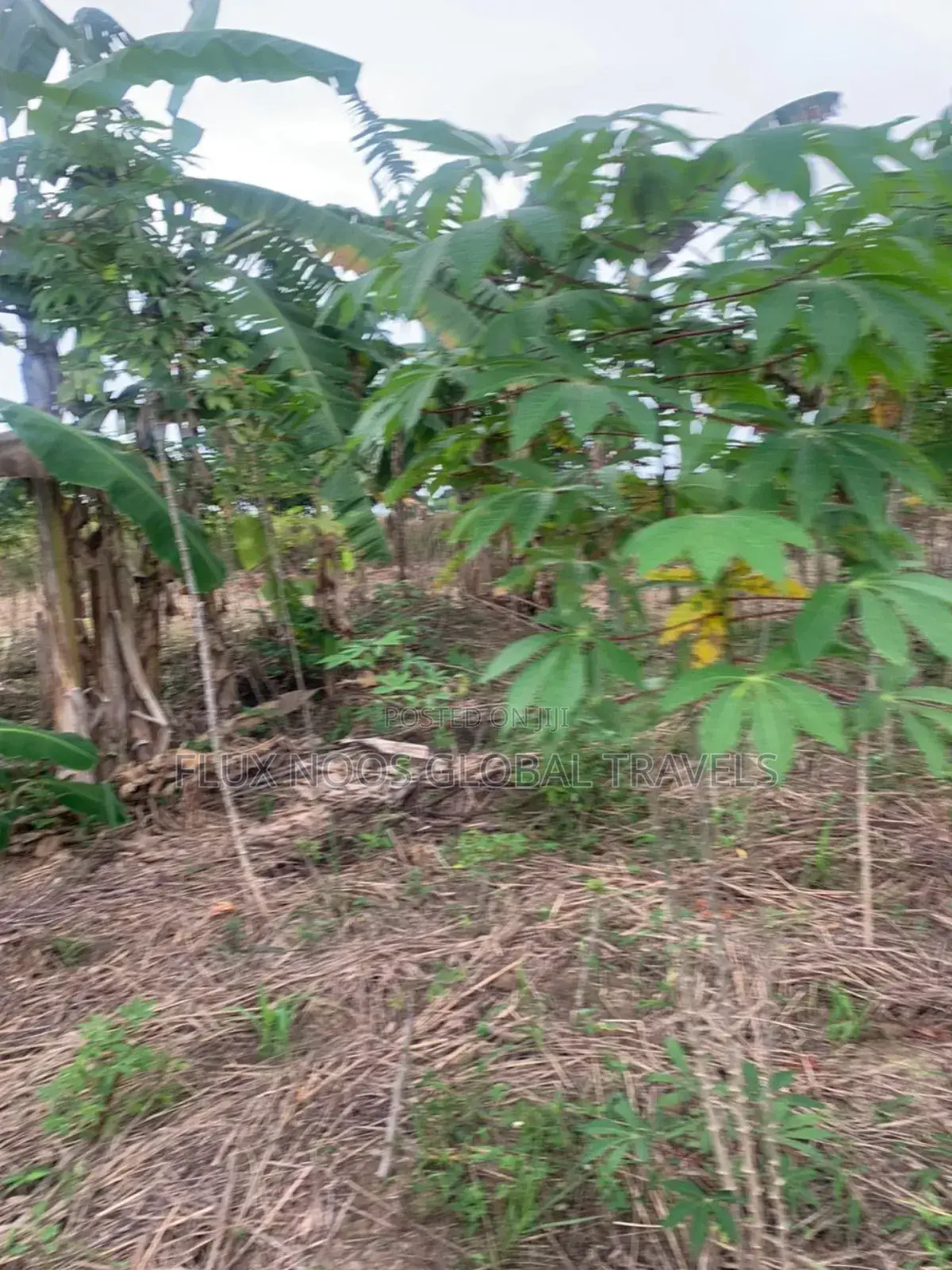 Titled and Fenced Land for Sale at Amasaman Ayikai Doblo