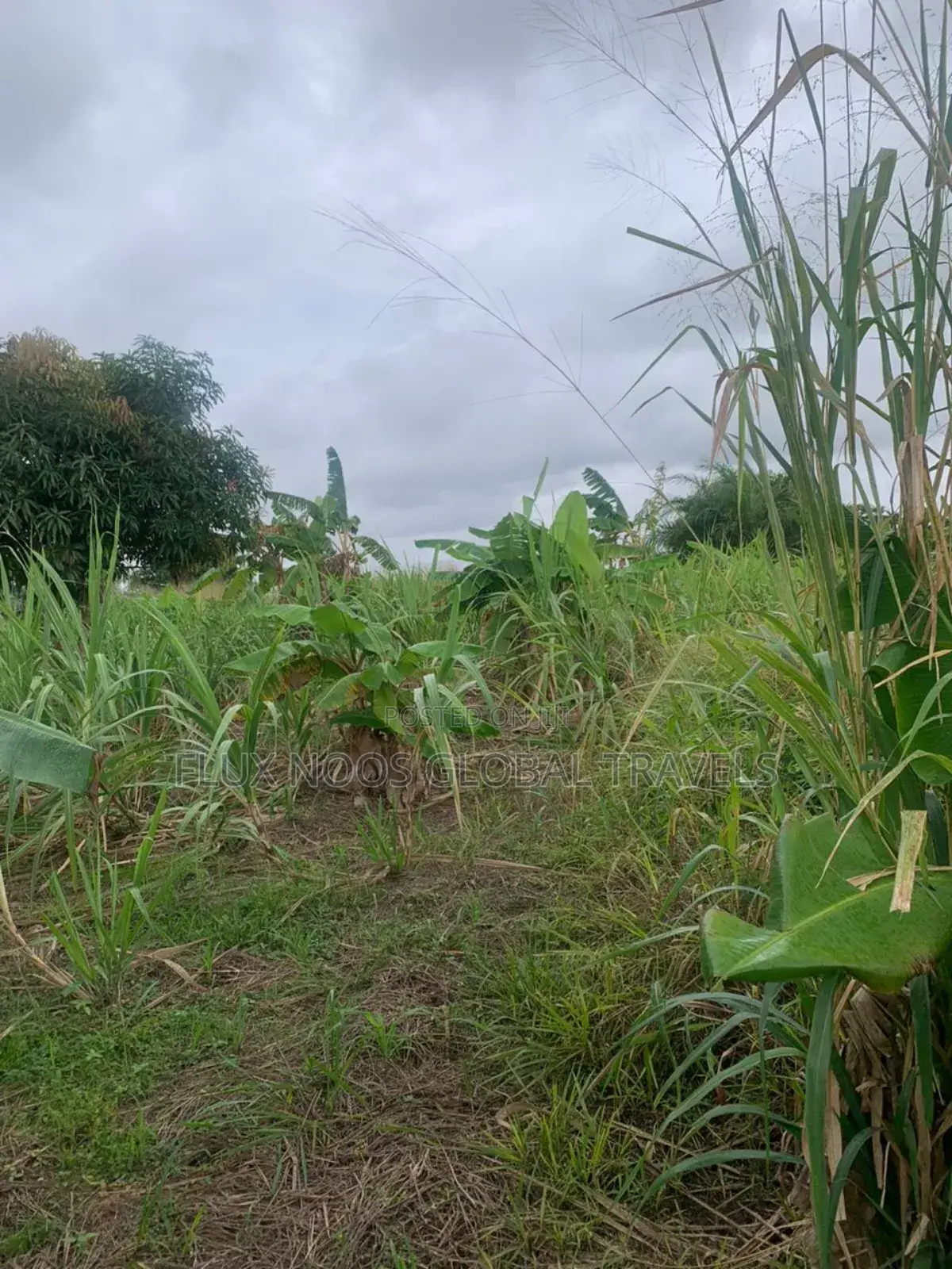 Fenced Genuine Plots of Lands for Sale.