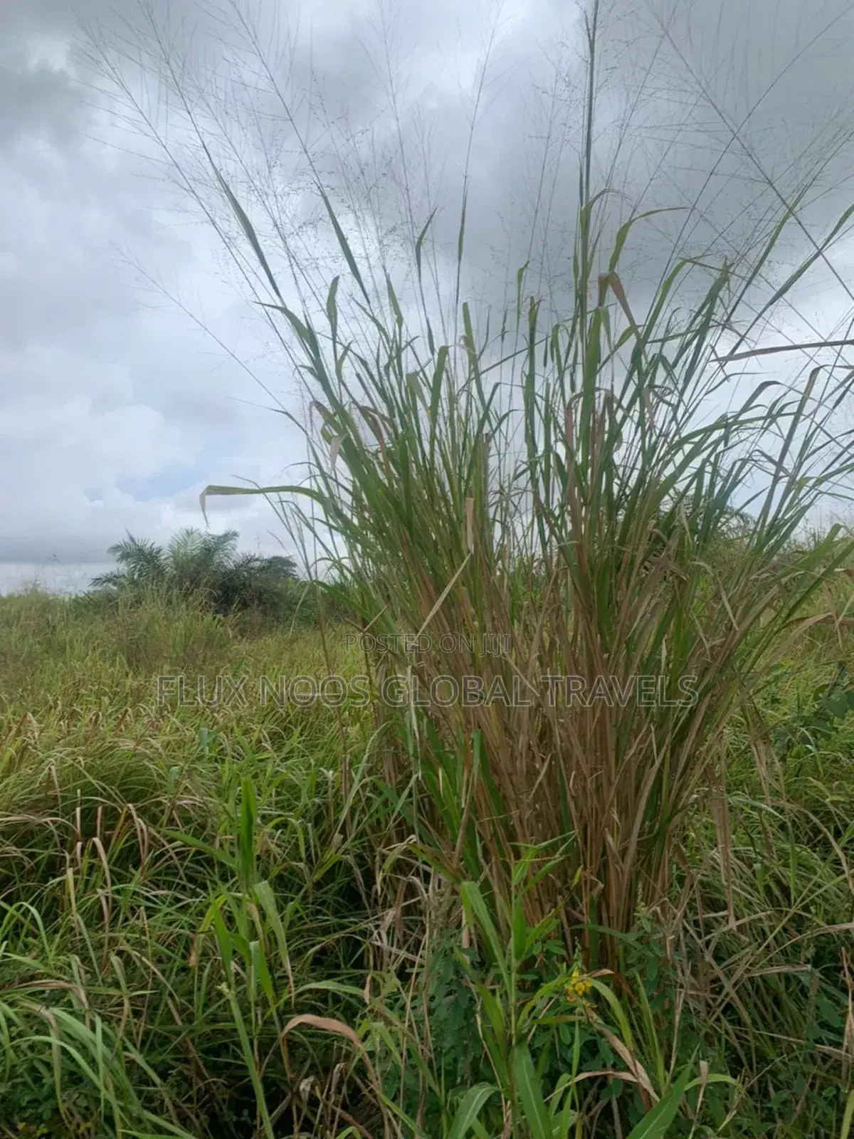 Litigation Free Land for Sale in Accra.