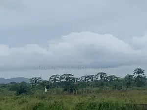 21 Plots of Lands Available for Sale.