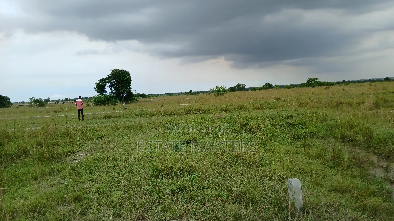 Titled Land Up for Sale