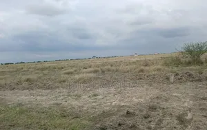 Grab a Litigation Free Land