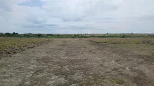 Grab a Litigation Free Plot of Land