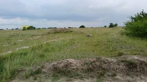 Serviced Plots of Land for Sale