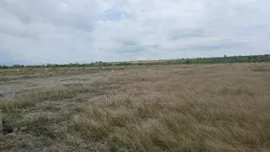 Residential Plots of Lands Up for Sale at Ningo Prampram