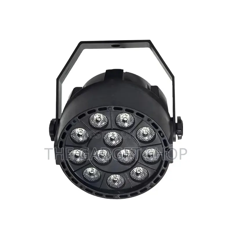 Stage Light