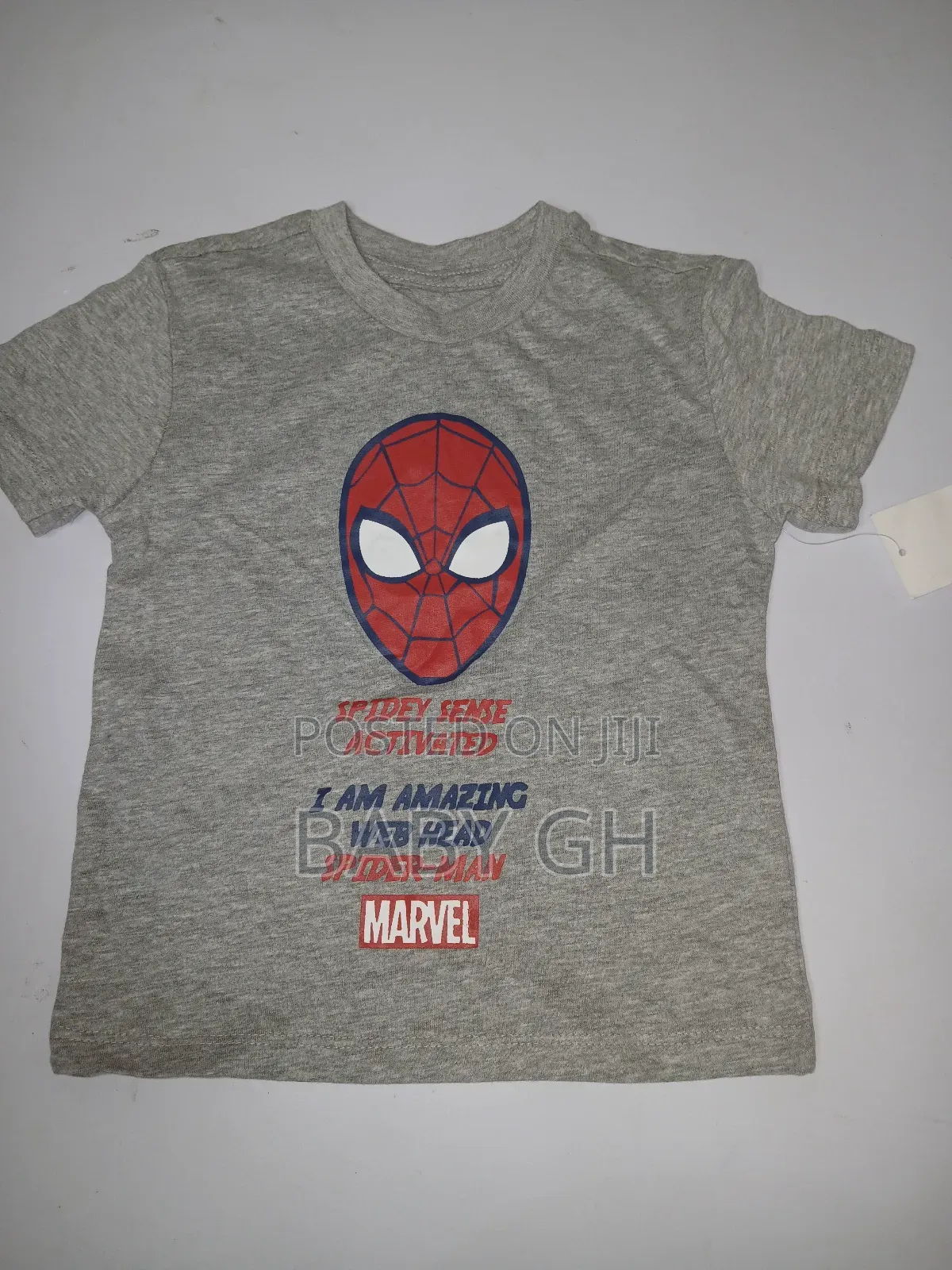 Boys Round Neck Spiderman T-Shirt