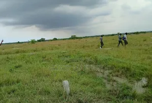 Well Demarcated Service Land at Ningo Prampram