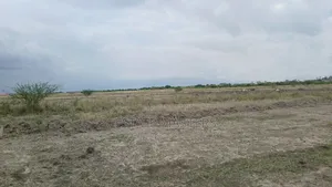 Well Demarcated Lands at Ningo Prampram