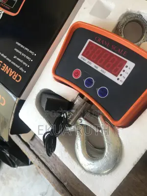 Crane Scale