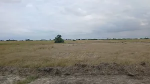 Litigation Free Land at Tsopoli