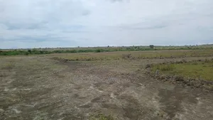 Grab a Litigation Free Land at Tsopoli