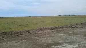 Grab a Litigation Free Land at Tsopoli