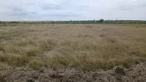 Serviced Land for Sale at Ningo Prampram
