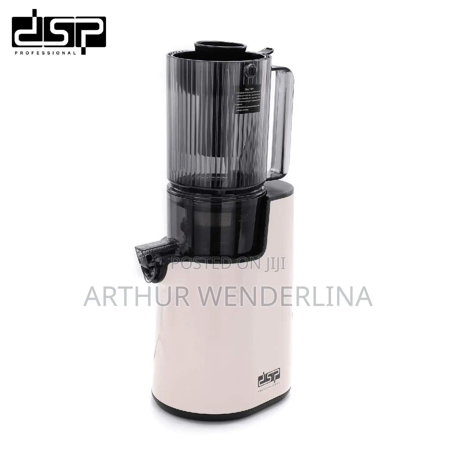 DSP KJ3079 Slow Juicer Whole Fruit Juicer 250W