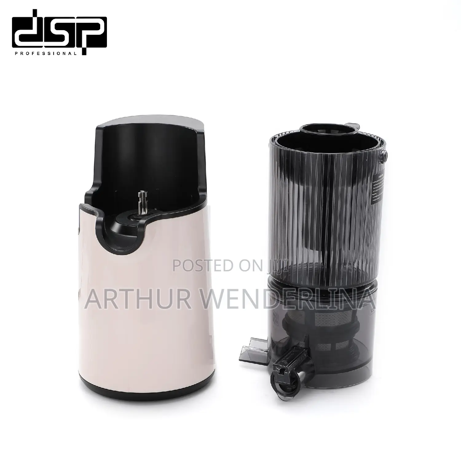 DSP KJ3079 Slow Juicer Whole Fruit Juicer 250W