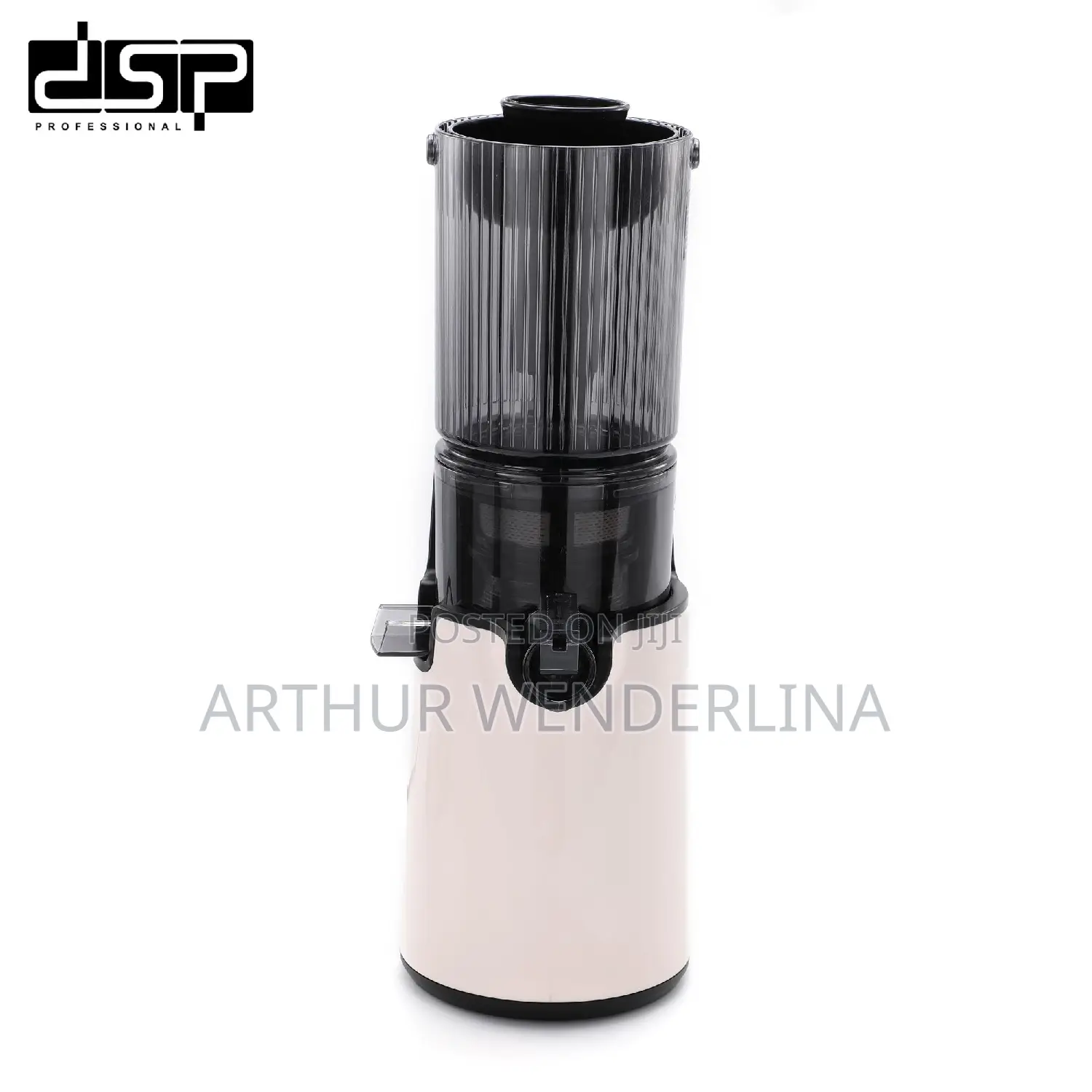 DSP KJ3079 Slow Juicer Whole Fruit Juicer 250W