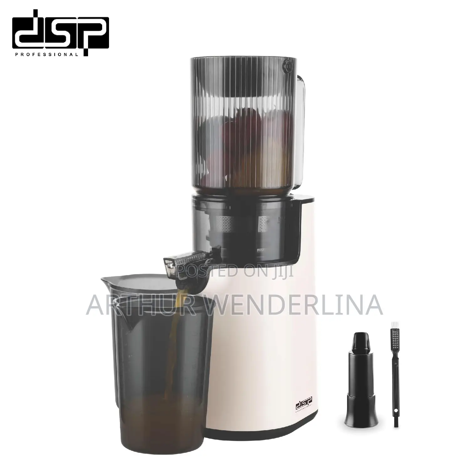 DSP KJ3079 Slow Juicer Whole Fruit Juicer 250W