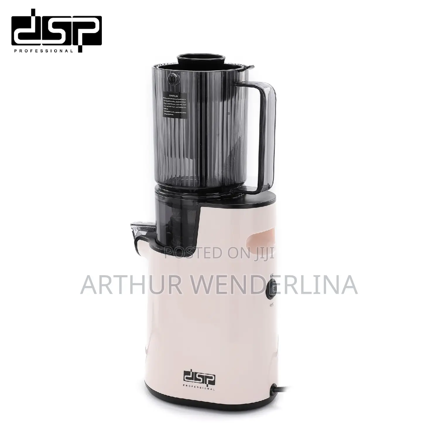 DSP KJ3079 Slow Juicer Whole Fruit Juicer 250W
