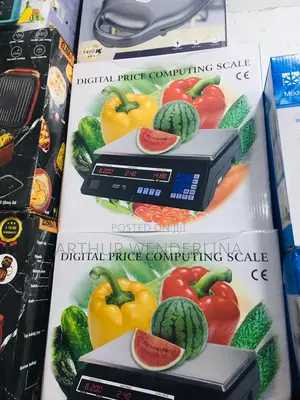 Digital Price Computing Scale - Silver