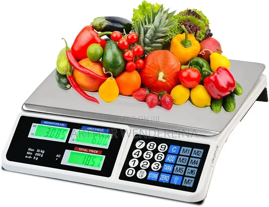 Digital Price Computing Scale - Silver