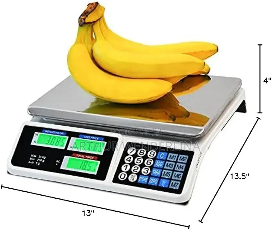 Digital Price Computing Scale - Silver