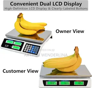 Digital Price Computing Scale - Silver