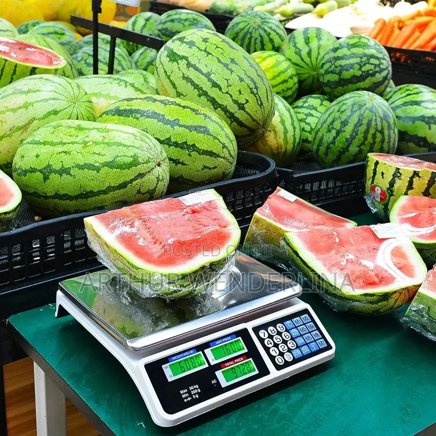 Digital Price Computing Scale - Silver