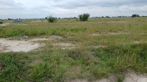 Grab a Litigation Free Land at Tsopoli