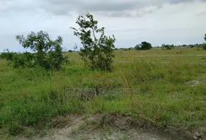 Grab a Litigation Free Land at Tsopoli