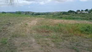 Well Situated Lands Up for Sale
