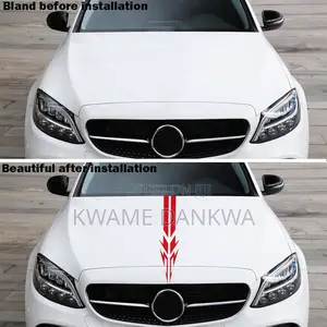 Car Hood Stickers