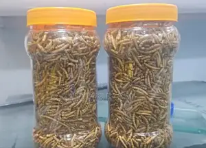 Cat/Tilapia/Maggotfish Feeds