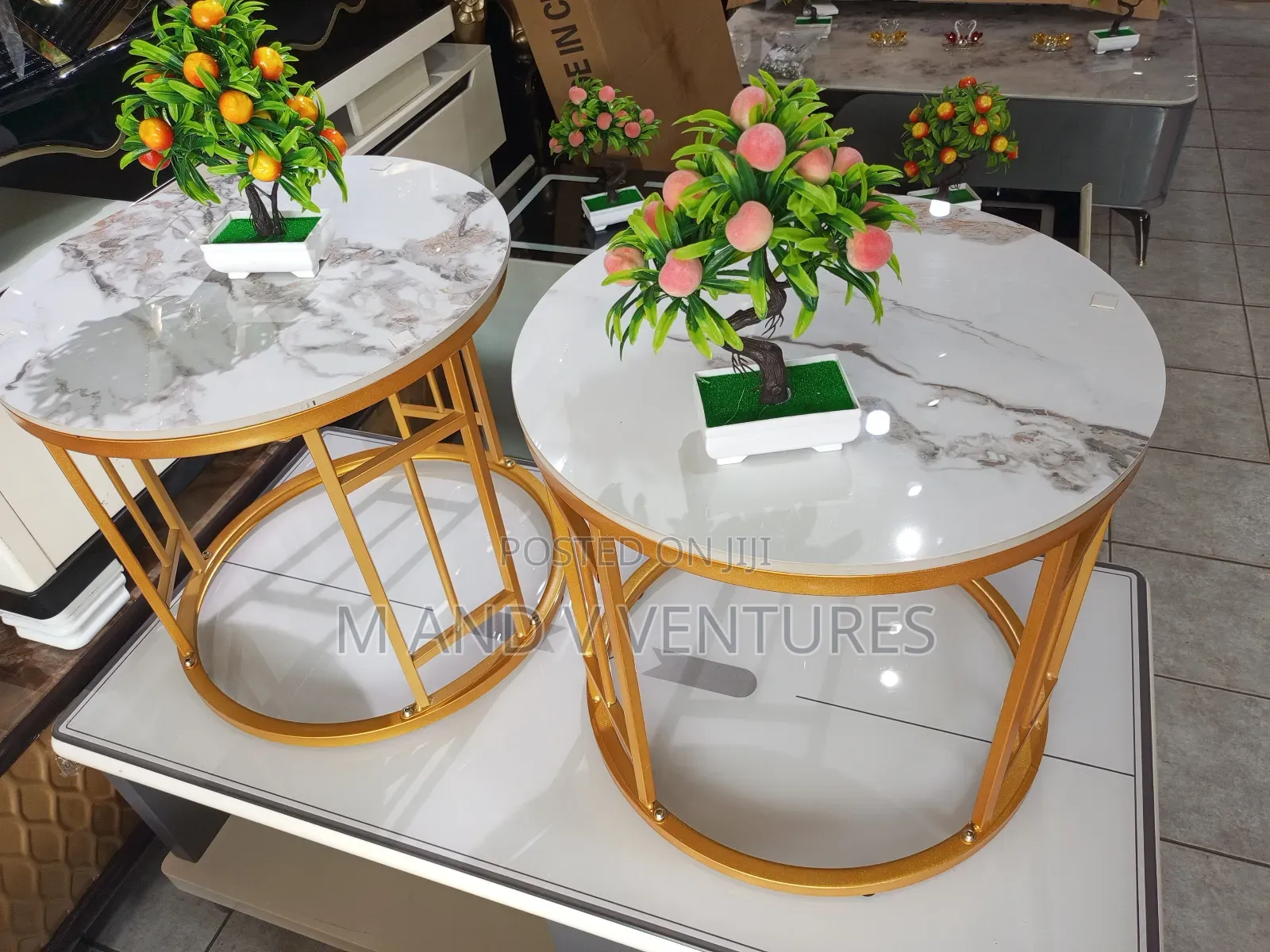 Coffee Table FVDB