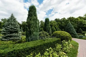 Creative Landscaping